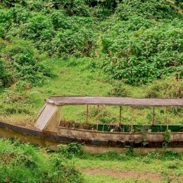 jungleboatreadytogo