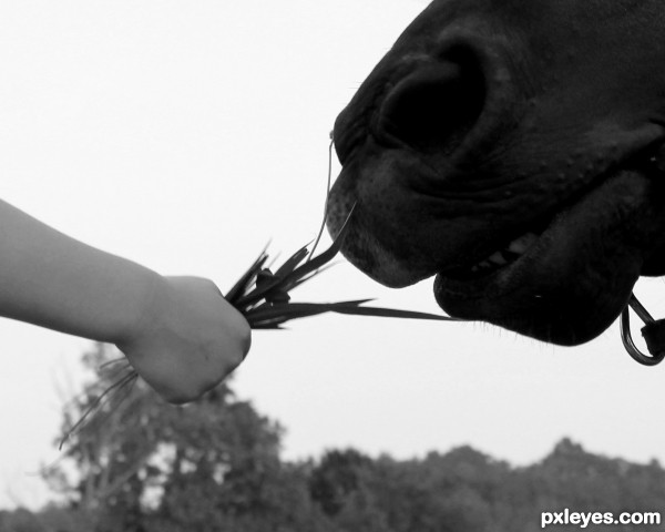 feeding time