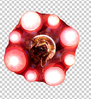 Creation of 3 headed snake light: Step 3