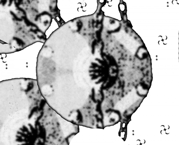 Creation of Piggidium Jinvox Microscopic: Step 1