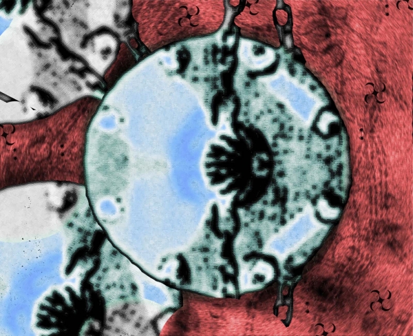 Creation of Piggidium Jinvox Microscopic: Step 3