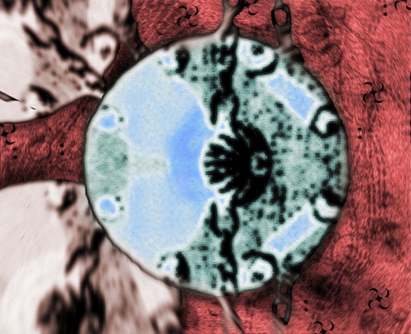Creation of Piggidium Jinvox Microscopic: Step 4