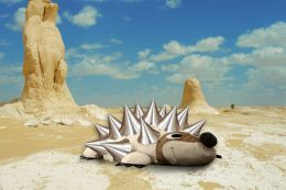 Desert Critter