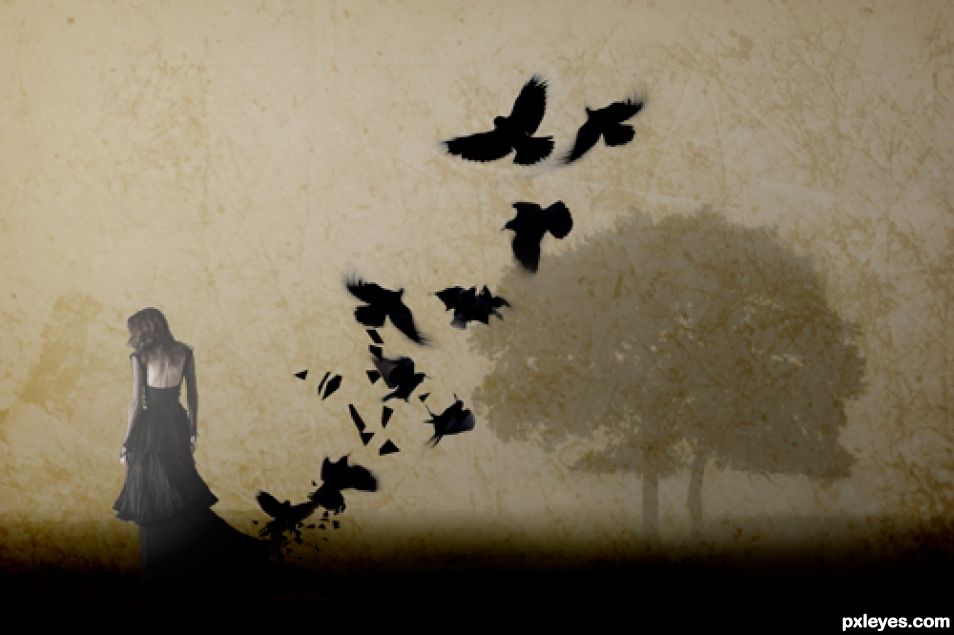Creation of Edgar Allen Poe - The Raven: Step 9