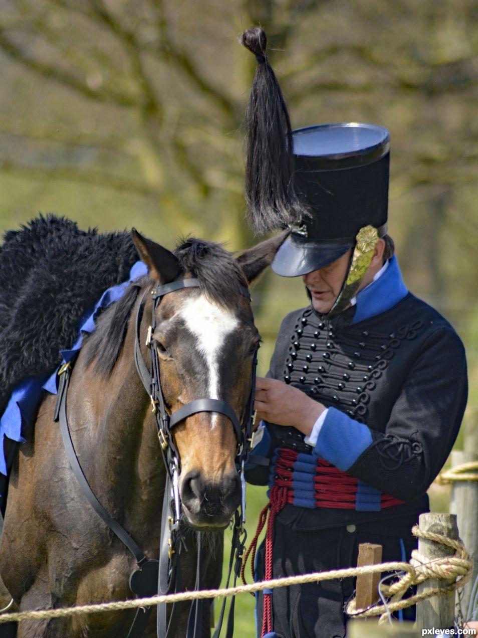 The Horse Whisperer