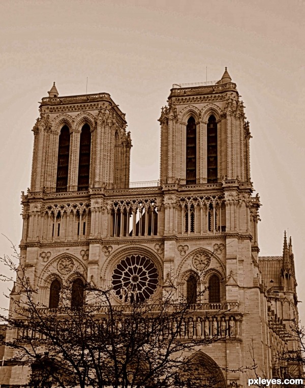 The hunchback of Notre Dame - Victor Hugo - 1831