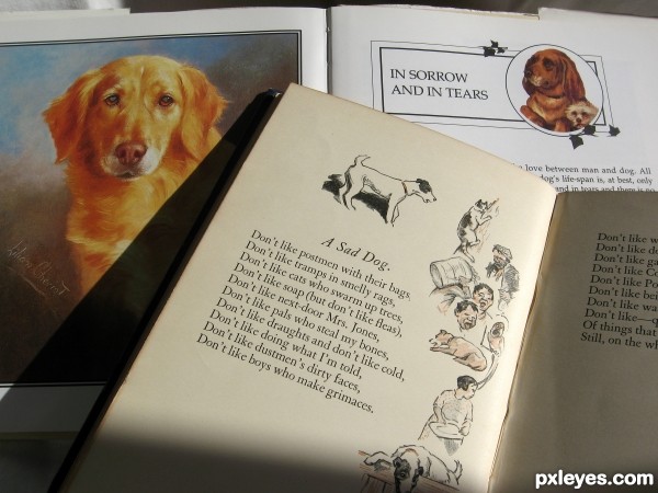 Dog Lovers Books