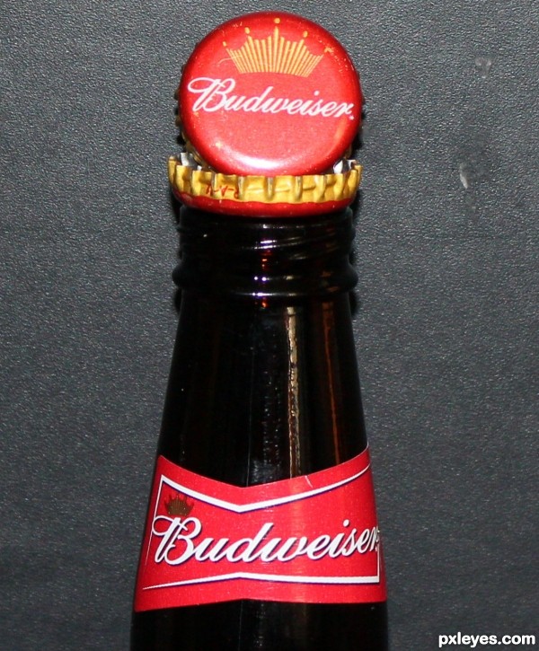 Bud - King of Beers