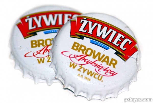 Polish beer 