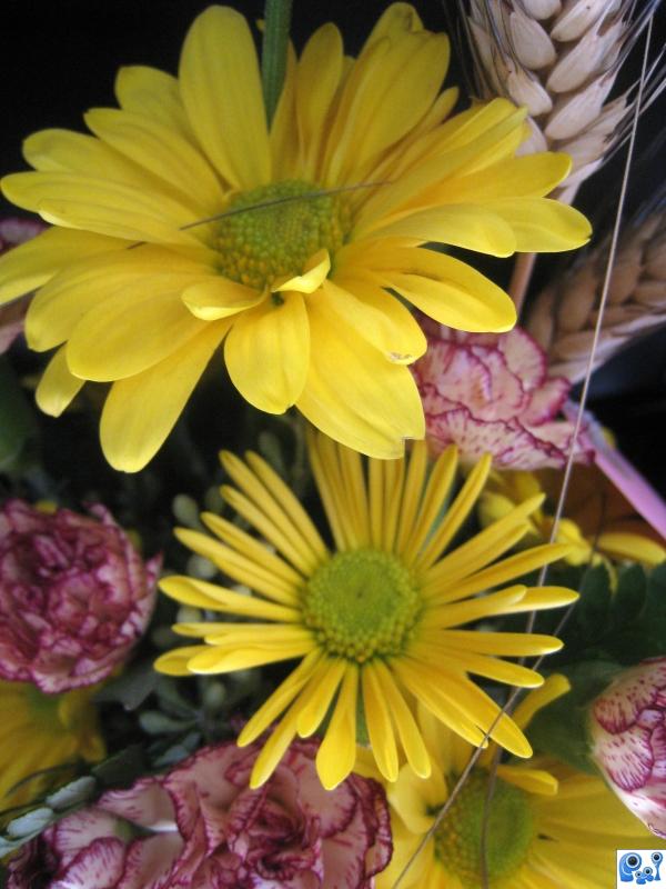 Sunflower Bouquet