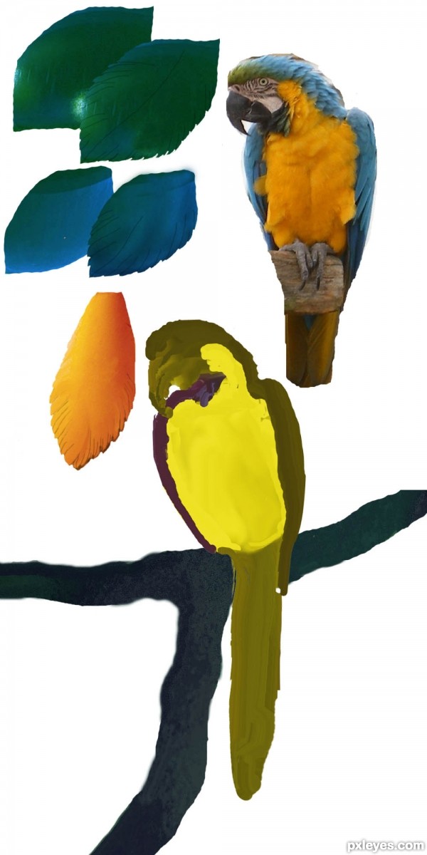 Creation of Parrot and Trumpets: Step 4