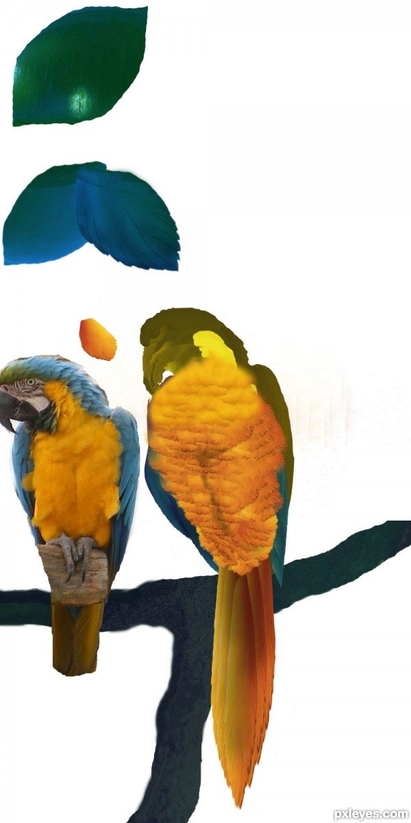 Creation of Parrot and Trumpets: Step 6