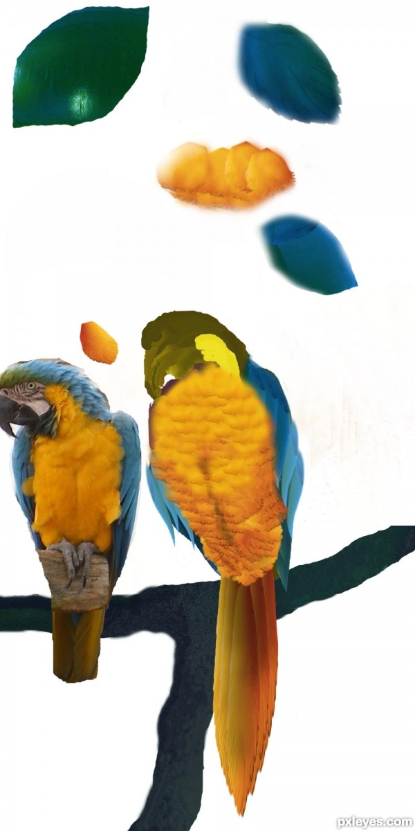Creation of Parrot and Trumpets: Step 7