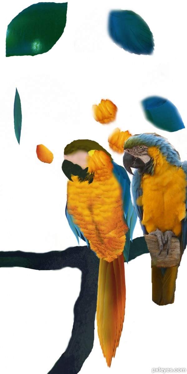 Creation of Parrot and Trumpets: Step 9