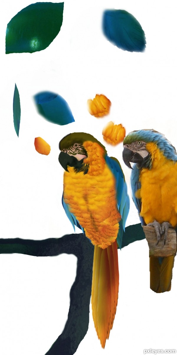 Creation of Parrot and Trumpets: Step 10