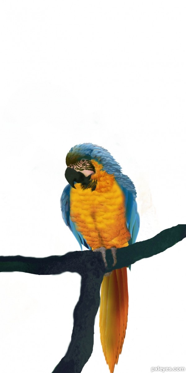 Creation of Parrot and Trumpets: Step 11