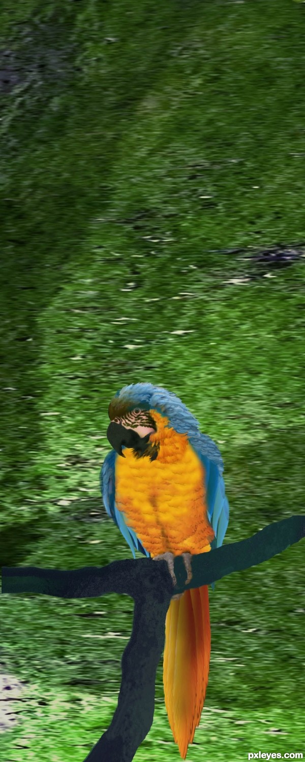 Creation of Parrot and Trumpets: Step 12