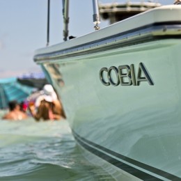 Cobia boat