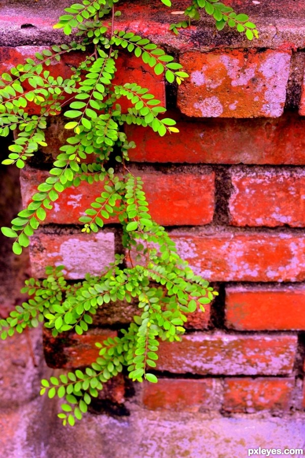 Red Bricks