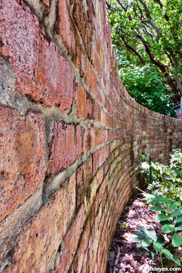 Wall