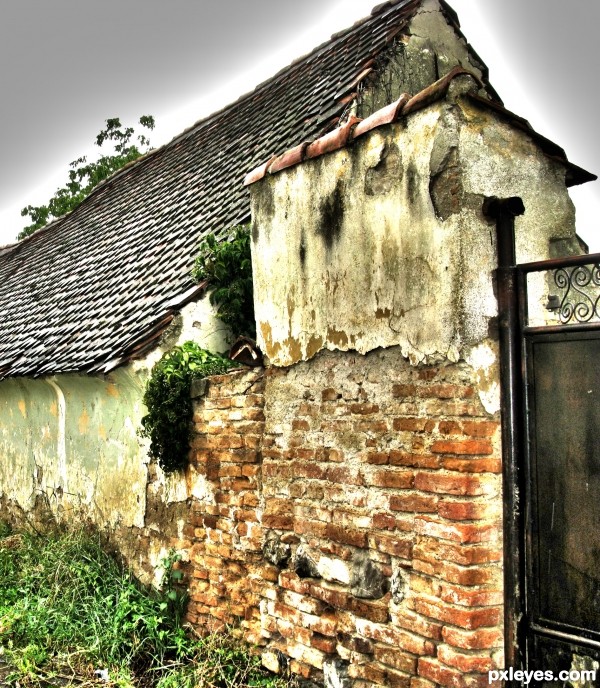 brick fence (HDR)