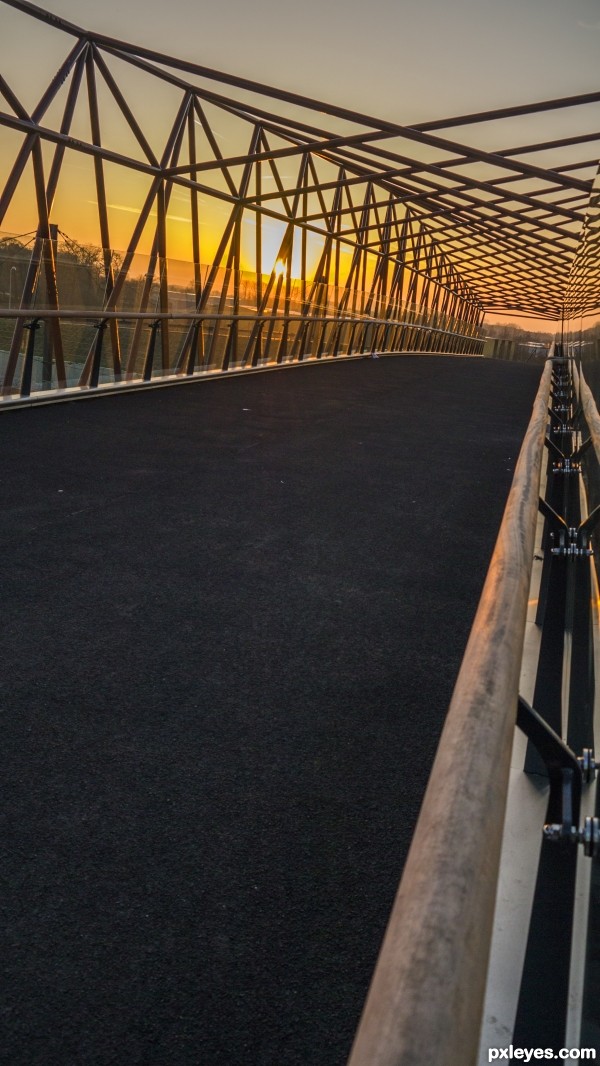 On the bridge at dawn