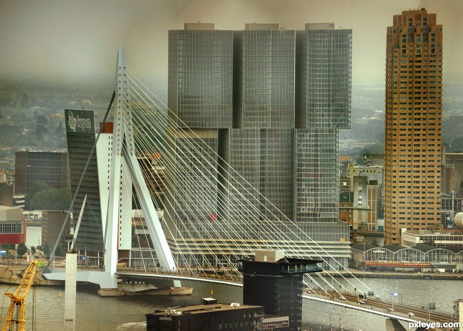 Erasmus Bridge Rotterdam