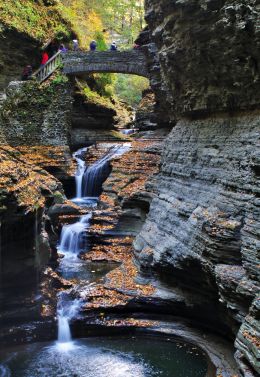 Foot Bridge