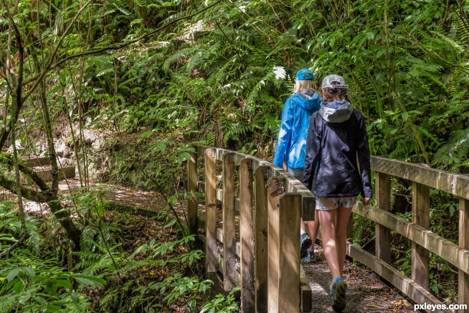 small footbridge 