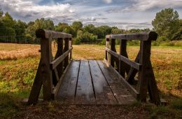 Little Bridge