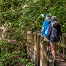 smallfootbridge