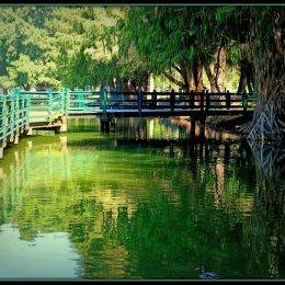 FootBridge