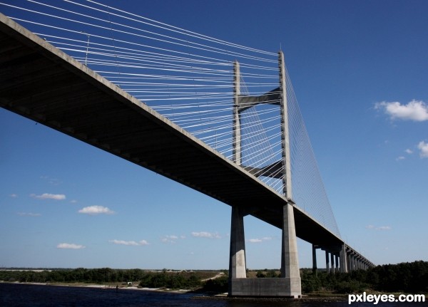 Dames Point Bridge