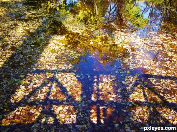 Shadow bridge