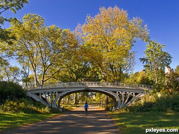 Enchanted Bridge