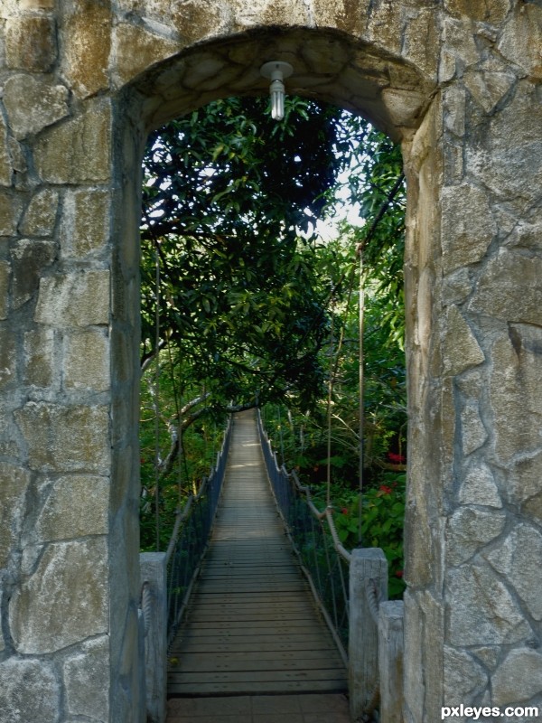 hanging bridge