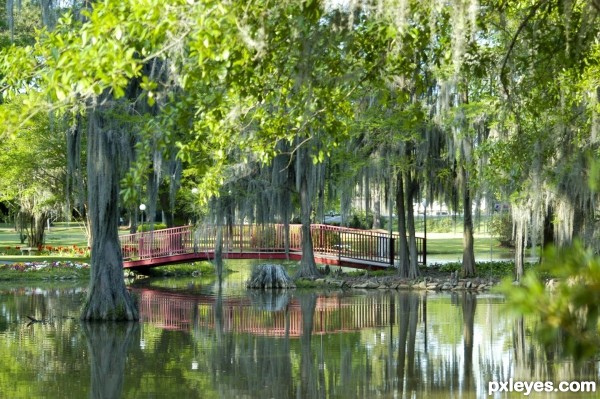 reflection bridge