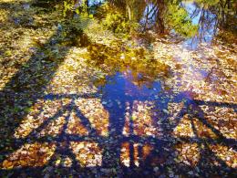 Shadow bridge