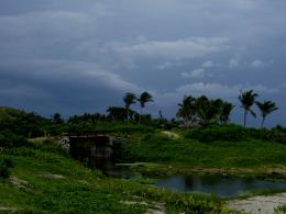 bridge upon the stream