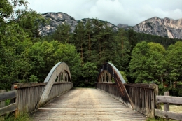 Wooden bridge