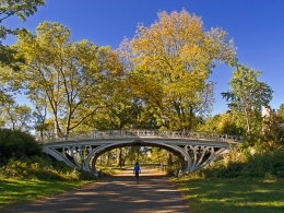 Enchanted Bridge