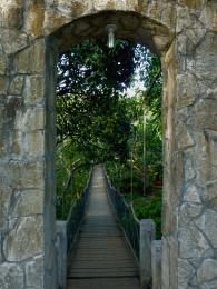 hanging bridge