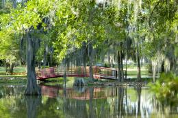 reflection bridge Picture