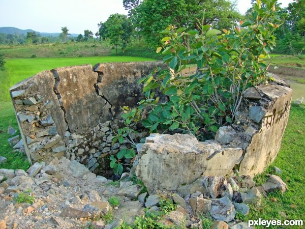 Abandoned Well