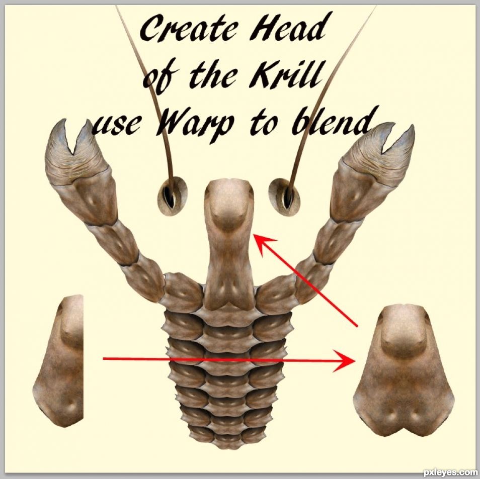 Creation of Green Krill Red Krill and the Gardian Marbles: Step 13