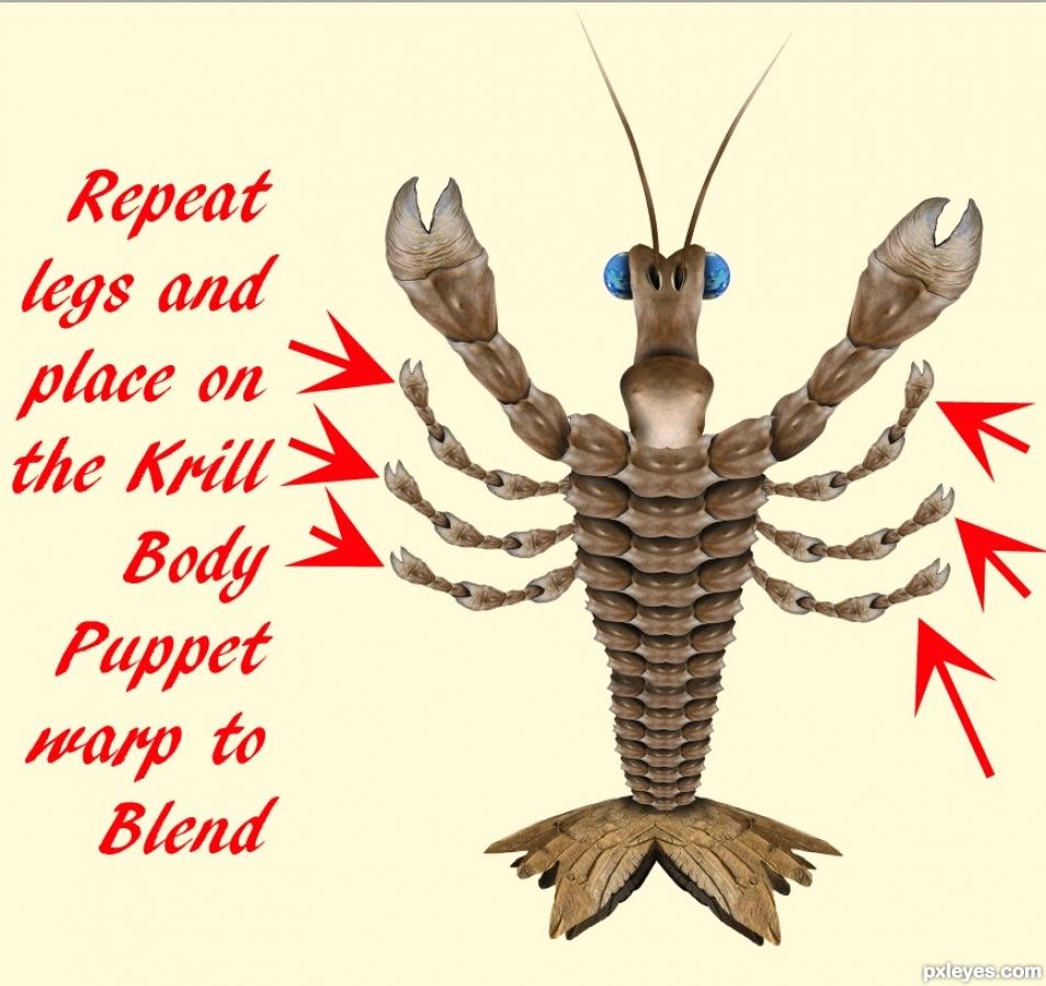 Creation of Green Krill Red Krill and the Gardian Marbles: Step 18