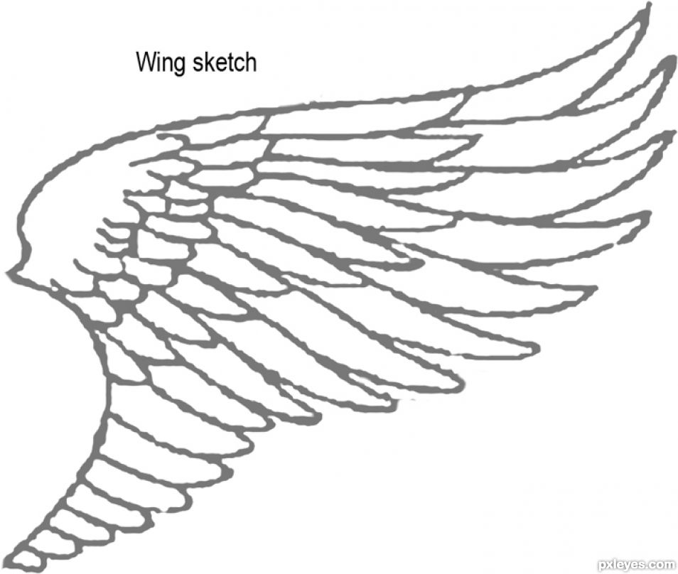 Creation of Wings of Legend: Step 1
