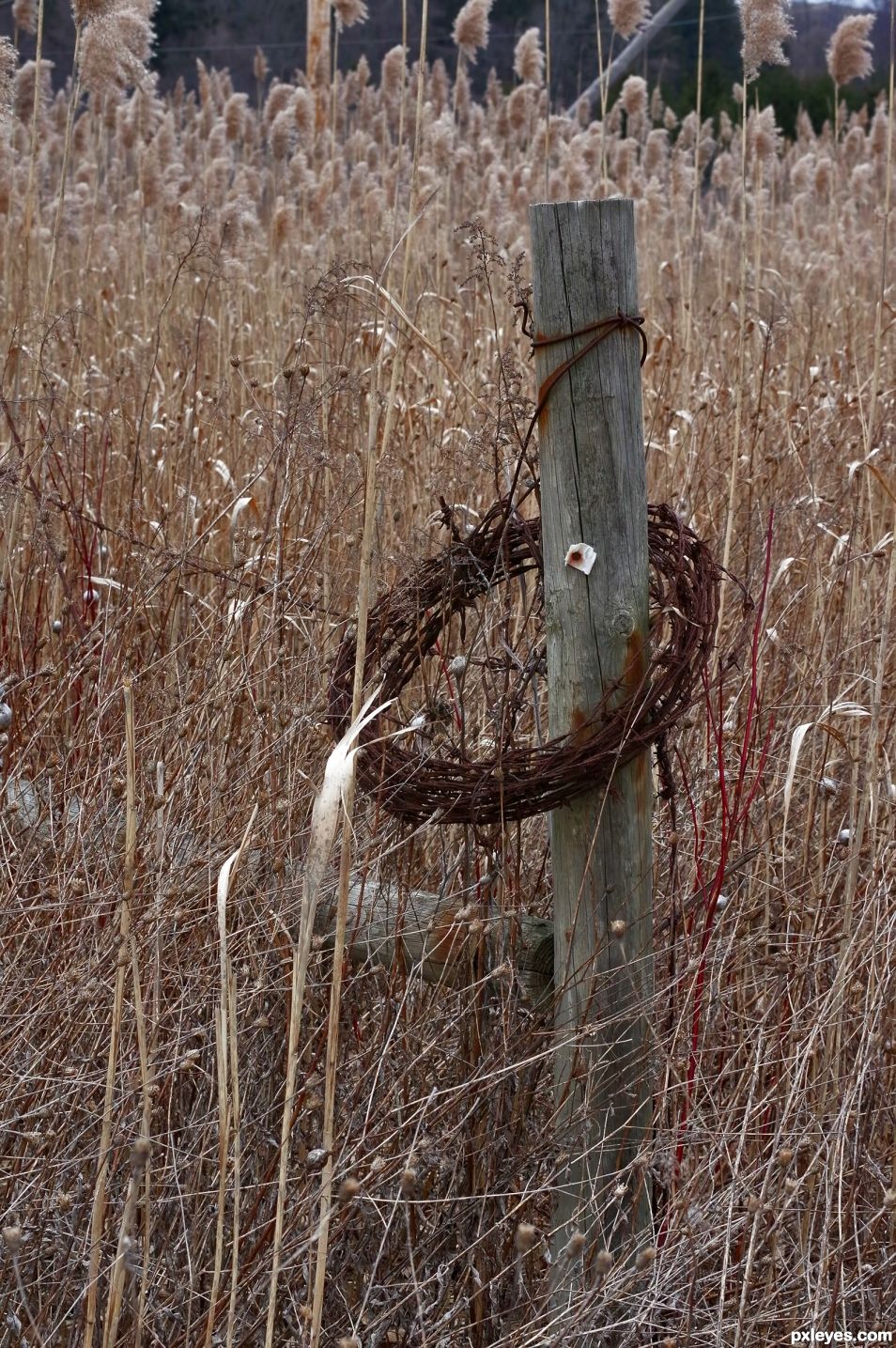 Post in the Grasses