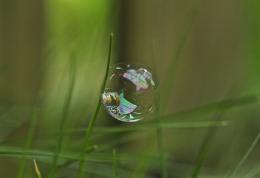 Bubble on grass