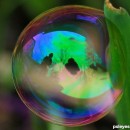 bubbles 4 photography contest